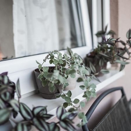 Apartman Centar دوبوي المظهر الخارجي الصورة